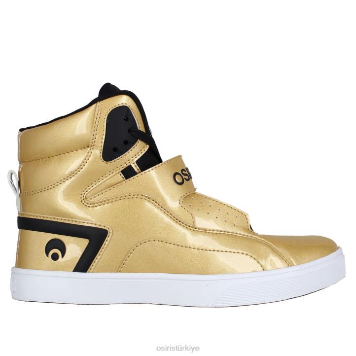 ayakkabı Z2HJ12 altın/siyah rize ultra Osiris üniseks